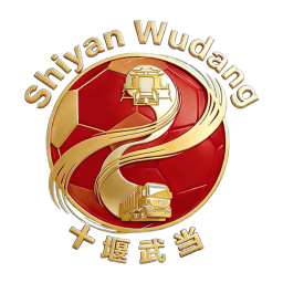 十堰队